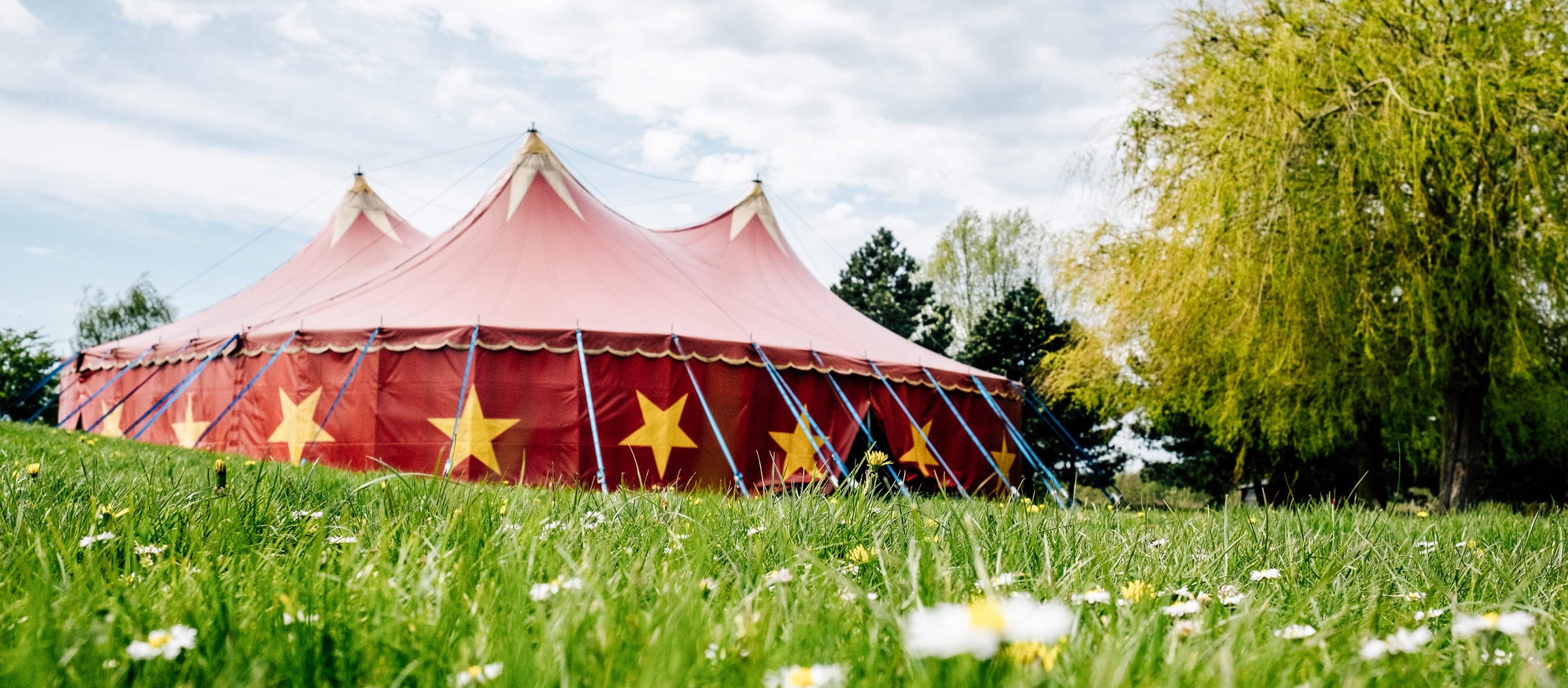 Das rote Zirkuszelt mit gelben Sternen der Zirkuszelt der Ostseeklinik Zingst auf einer Wise mit Sommerblumen, rechts davon ein Baum.