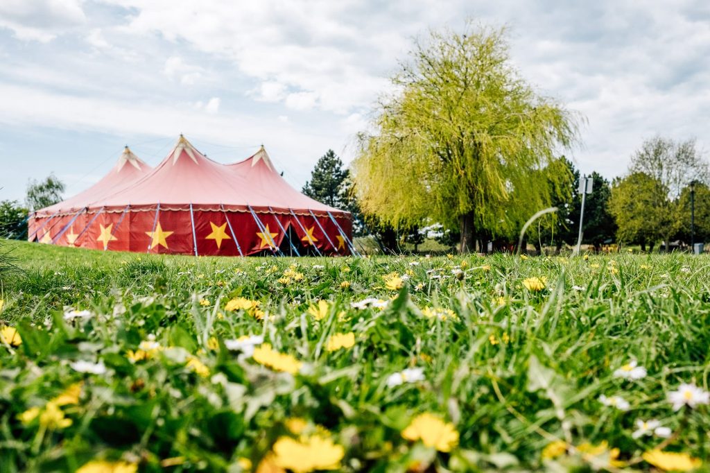 Butterblumenwiese auf der ein Zirkuszelt steht mit einer Weide daneben