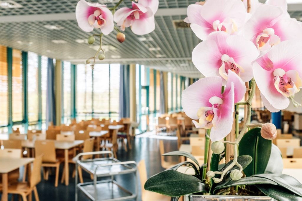 Der helle Speisesaal der Ostseeklinik Zingst mit weißen Tischen und hellen Holzstühlen.